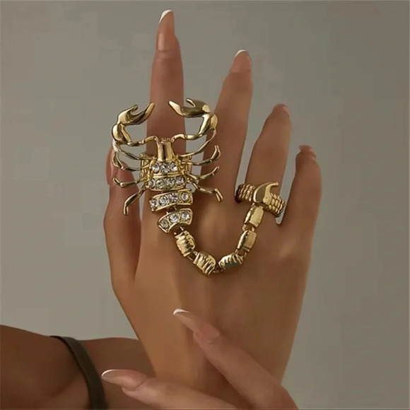 Scorpio Momento Mori Silver Plated Retro Ring - Picture 14 of 14